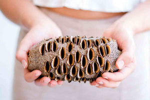What is a Banksia Pod?
